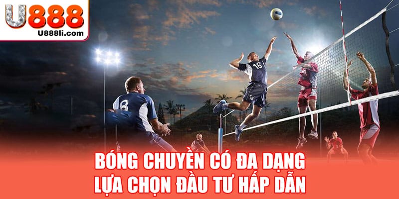 bong-chuyen-co-da-dang-lua-chon-dau-tu-hap-dan