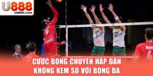 cuoc-bong-chuyen-hap-dan-khong-kem-so-voi-bong-da-(anh-dai-dien)