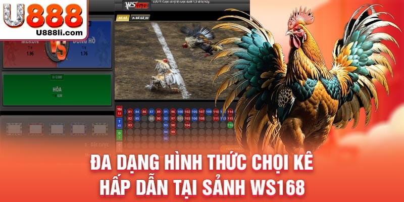 da-dang-hinh-thuc-choi-ke-hap-dan-tai-sanh-ws168