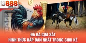 da-ga-cua-sat-hinh-thuc-hap-dan-nhat-trong-choi-ke-anh-dai-dien