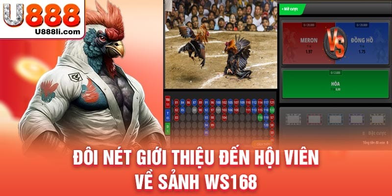 doi-net-gioi-thieu-den-hoi-vien-ve-sanh-ws168