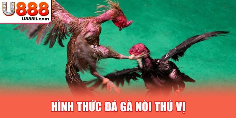 hinh-thuc-da-ga-noi-thu-vi