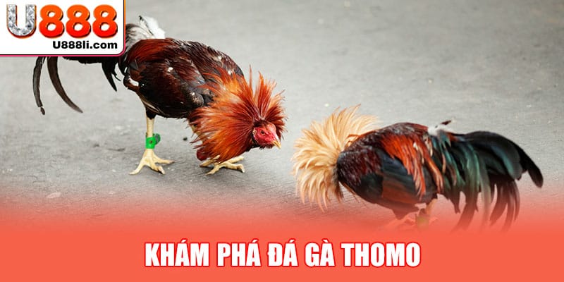 kham-pha-da-ga-thomo