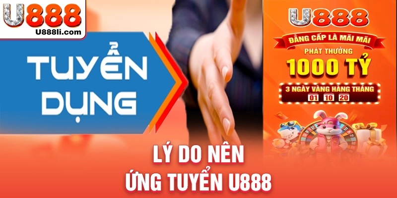 ly-do-nen-ung-tuyen-u888