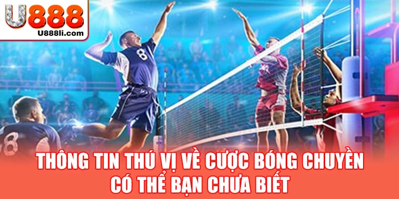 thong-tin-thu-vi-ve-cuoc-bong-chuyen-co-the-ban-chua-biet