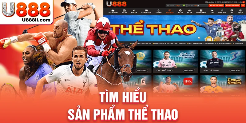 tim-hieu-san-pham-the-thao