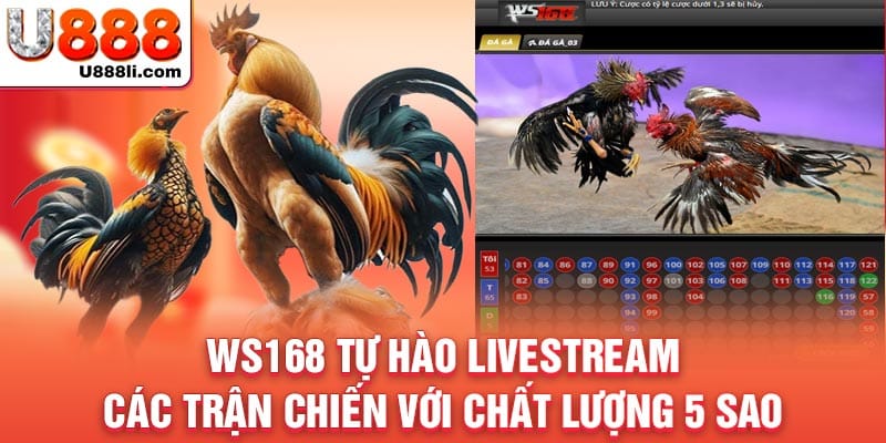 ws168-tu-hao-livestream-cac-tran-chien-voi-chat-luong-5-sao